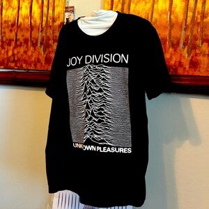 Joy Division classic new wave punk rock band T-shirt “ unknown pleasures” 🤳🎸
